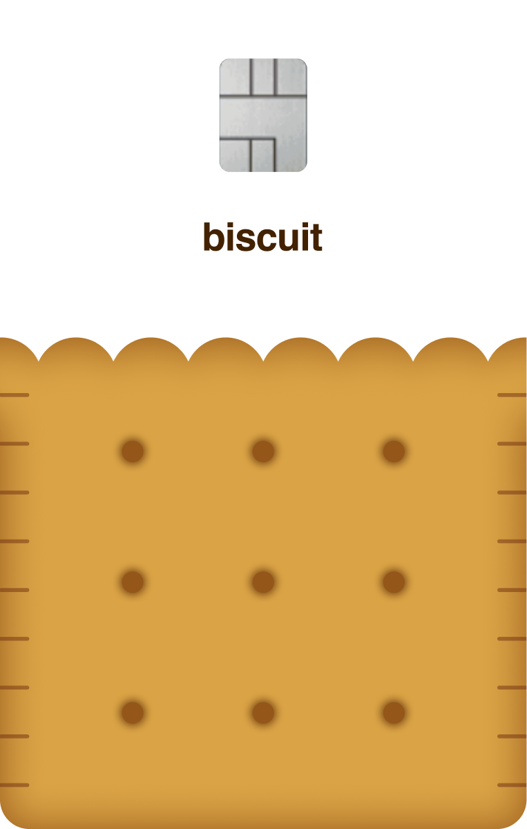 solution-biskit-image